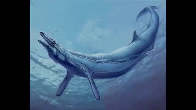 10تاازخطرناكترین موجودات دریایی ماقبل تاریخ