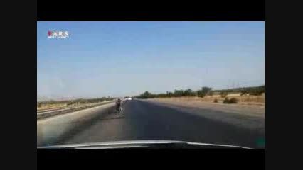 موتورسواری عجیب در اتوبان زنجان-قزوین