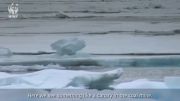 شمالگان،پس از میلیونها سال نخستین نشانه های تغییر اقلیم