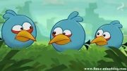 انیمیشن سریالی پرندگان خشمگین,2013 Angry Birds TOONS|قسمت 8