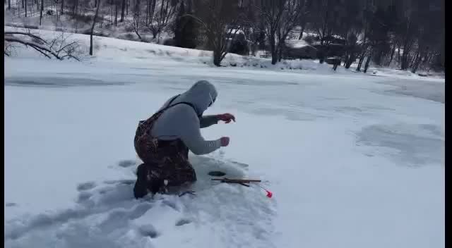 غاز وحشی بجای ماهی در قلاب زیر برف/از عجایب خنده دار
