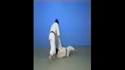 Sumi Otoshi - 65 Throws of Kodokan Judo