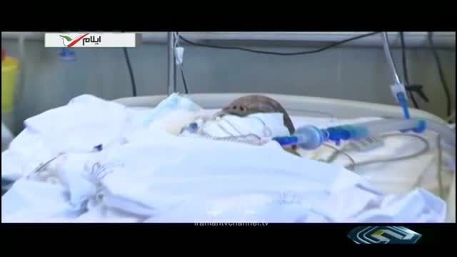 مجروحیت 5 دانش آموز ایلامی