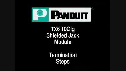 Panduit Cat6a Shielded Jack TX6 10Gig