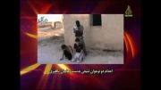اعدام دو نوجوان شیعه بدست وهابیون در سوریه