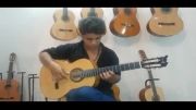 نوازندگی گیتار توسط حامد دهقانی