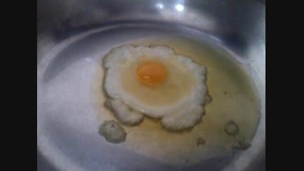 خیلی جالب تخم مرغ به این کوچیکی؟