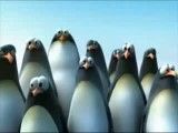 گروه پنگوئن ها