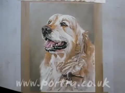 نقاشی بی نظیر سگ با مداد شمعی - Bazeh.com