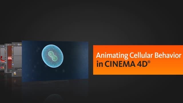 Animating Cellular Behavior in CINEMA 4D