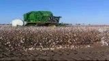 Deere Cotton Picker/Baler