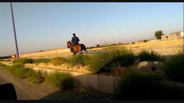 اسب فروشی (کیهان)