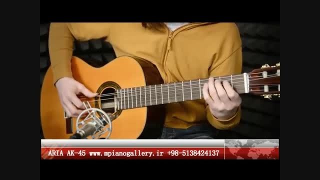 گیتار آریا AK-45