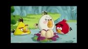 انیمیشن سریالی پرندگان خشمگین۲۰۱۳ |قسمت ۵| دوبله گلوری