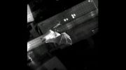 کاراکتر انیمیشن خفاش -سیکل حرکت خفاشbird -maya2