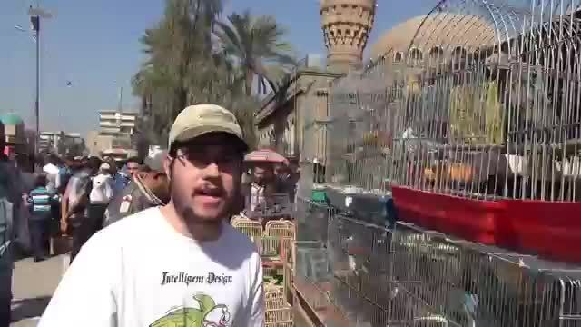 بازار پرندگان بغداد