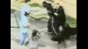 حمله سگها به یک سیاه پوست