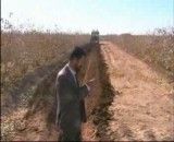 محصولات شرکت دشت خاک رفسنجان