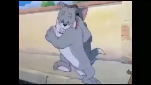 شبکه سهند ، قسمتهایی از کارتون تام و جری Tom And Jerry