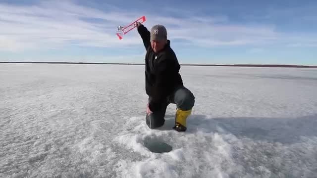ماهیگیری اردک ماهی در یخبندان و تماشایی