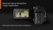Sony Projector Handycam with Balanced Optical Steadysho