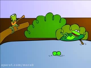 سوریلند -    Singer Frog