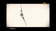 مستند زیبای نبرد تامكت ها f14-اف14 باكیفیت(قسمت اول)