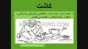 پاور پوینت درس5 کلاس ششم کشاورزی در ایران