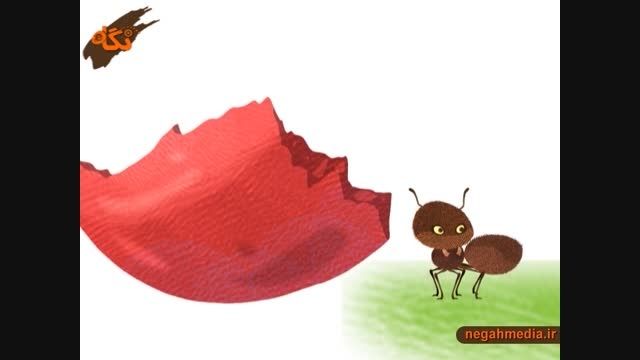 اتحاد مورچه ها