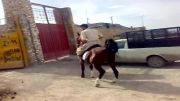 سواری زیبای اسب سالار2 اصفهان
