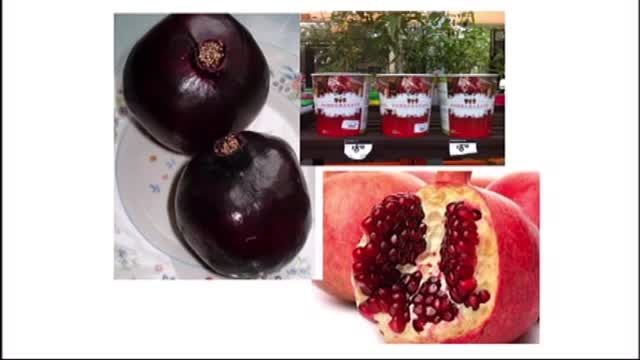 تدریس خصوصی باغبانی - انار و سایر میوه ها