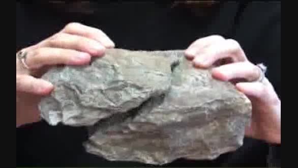 قدیمی ترین ابزار های بشری مربوط به بیش از سه میلیون سال