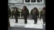 رقص میمون ها