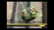 گزارش مشکل نبود سطل آشغال در شهر شیراز