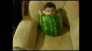 کوچولی دوست داشتنی در هندوانه