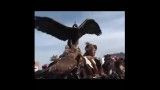 عقاب دست آموز برای شکار