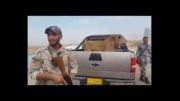 شیر در کنار سربازان عراقی ! +فیلم