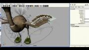 کاراکتر رجینگ شتر مرغ -مایا-انیمیشن سازی