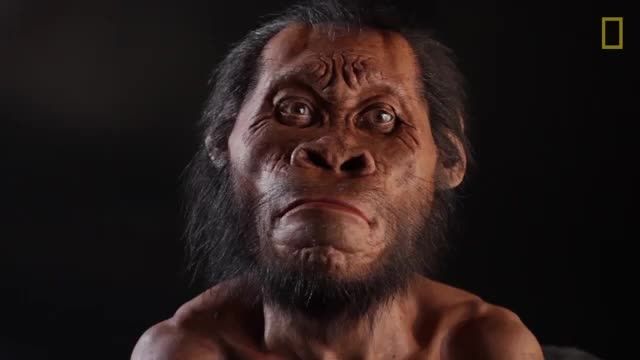 کشف گونه ای از انسان که بسیار شبیه میمون بود