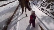 دختر کوچولوی شیرین زبان می خواهد اسب را به خانه ببرد