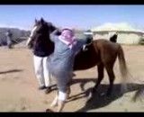 عرب اسب سوار