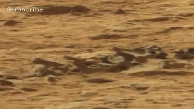 کشف فسیل دایناسور غولپیکر در سیاره مریخ !