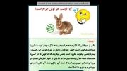 آیا گوشت خرگوش حرام است ؟