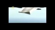 سقوط هواپیما-سکان عمودی شکست!!!