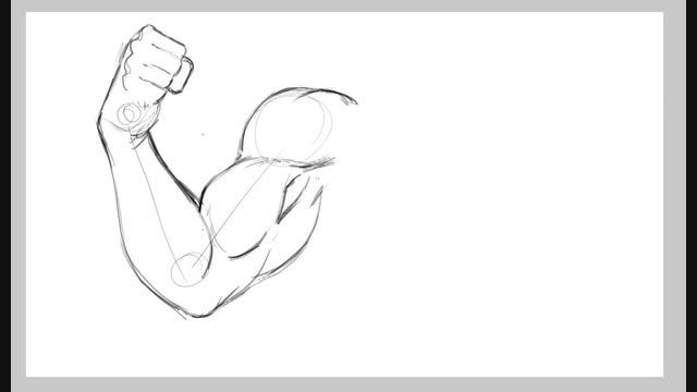 drawing arm muscles