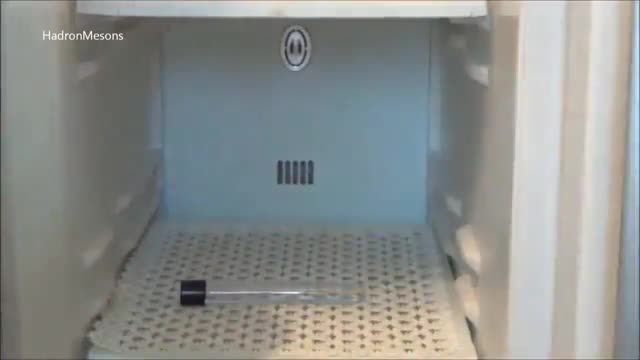 استخراج DNA از توت فرنگی(در خانه)