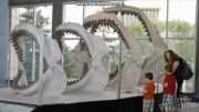 بزرگترین کوسه ی تاریخ (Megalodon)