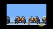انیمیشن کوتاه پیکسار | For The Birds (برای پرندگان)