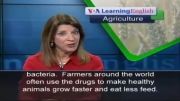 US Officials Want Farmers to Use Less Antibiotics on...