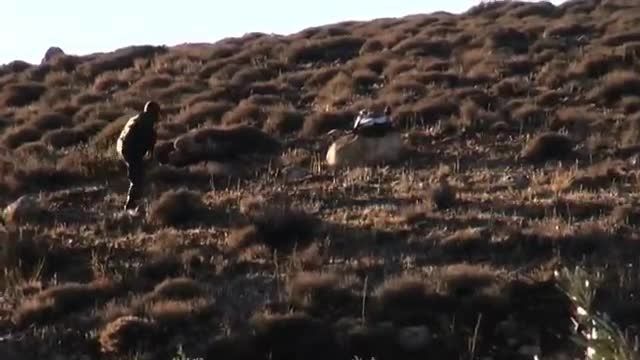 درعا - عملیات مشترک نیروهای دفاع وطنی با حزب الله